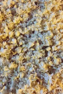 attar motia (jasmine)