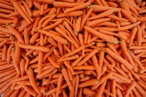 carrot seed oil