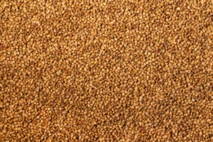 celery seed oil