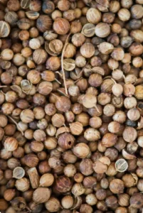 coriander oil