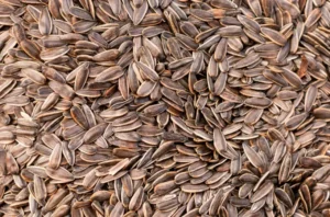 dill seed oil