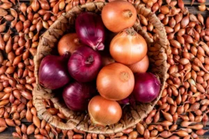 onion seed oil