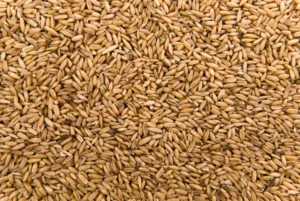 wheat germ oil